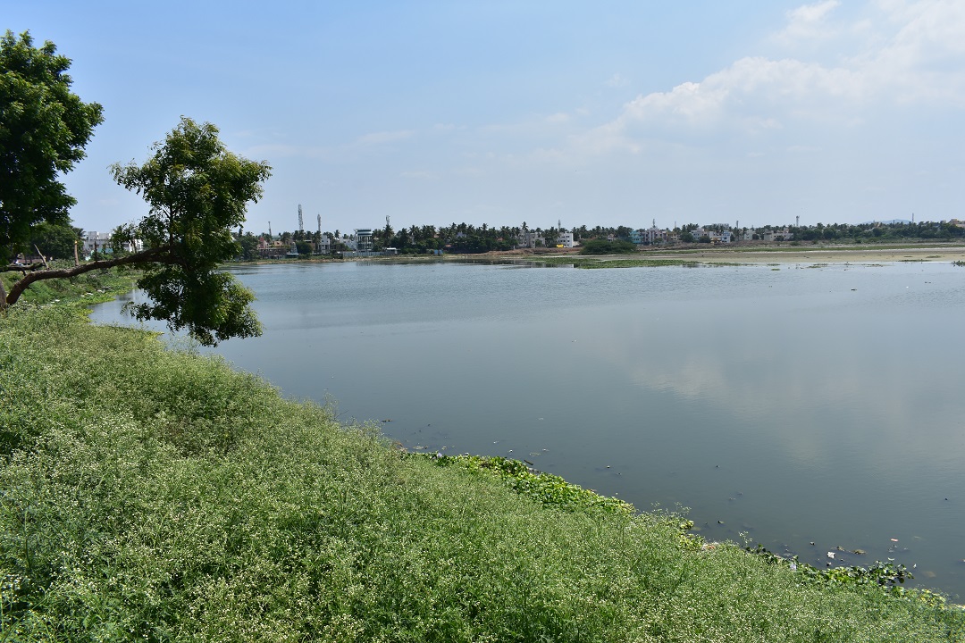 Sembakkam Lake 